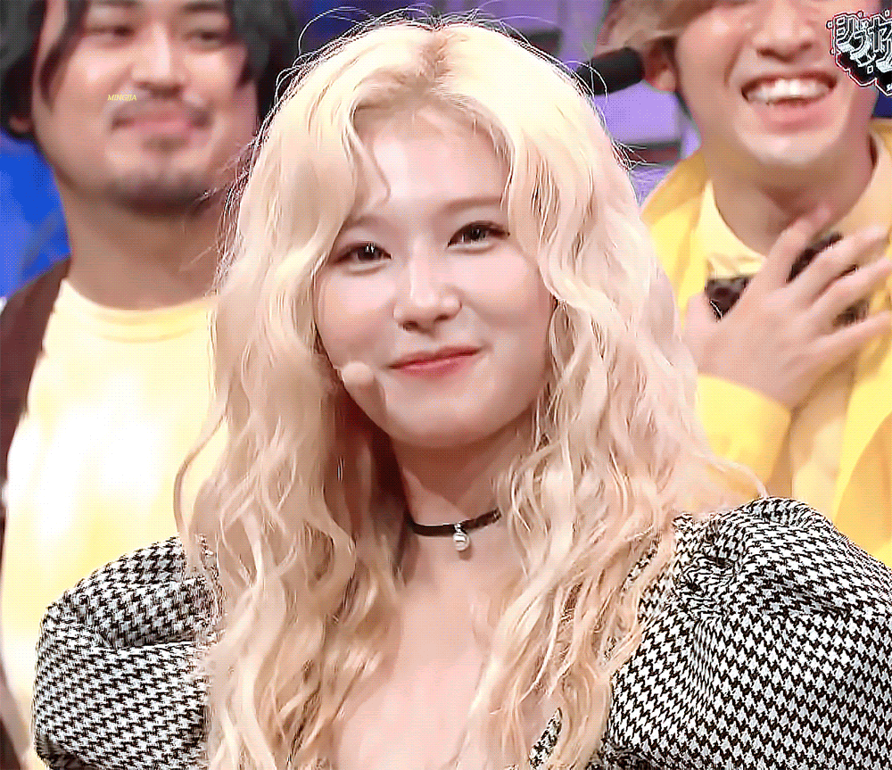 푸들미 가득한 사나