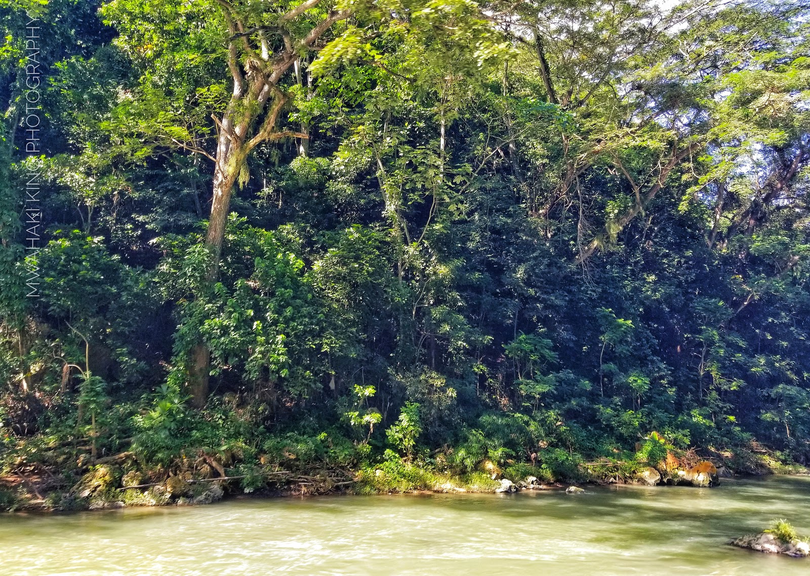 Mwahaki King Photography JAMAICA St.Catherine