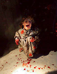 book umweltwissen daten fakten zusammenhänge 1990