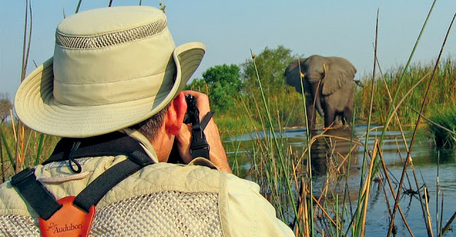 Botswana Camp Safari