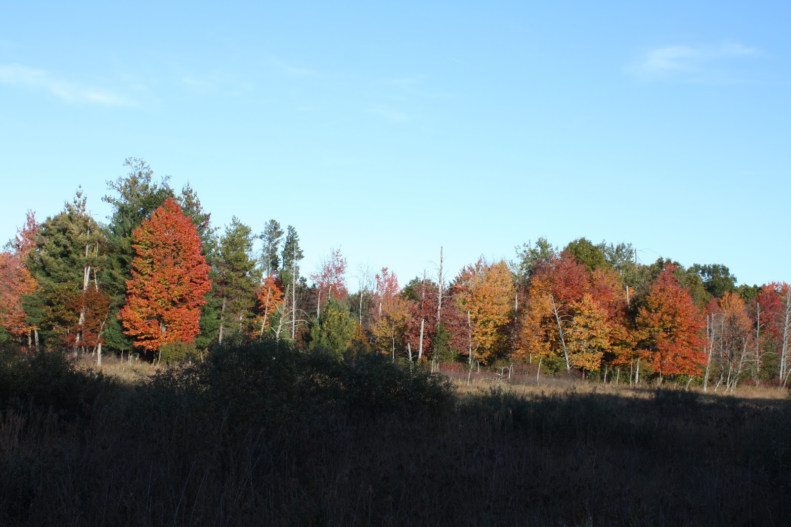 A Little Time and a Keyboard Tranquil Family Weekend at Little Pond