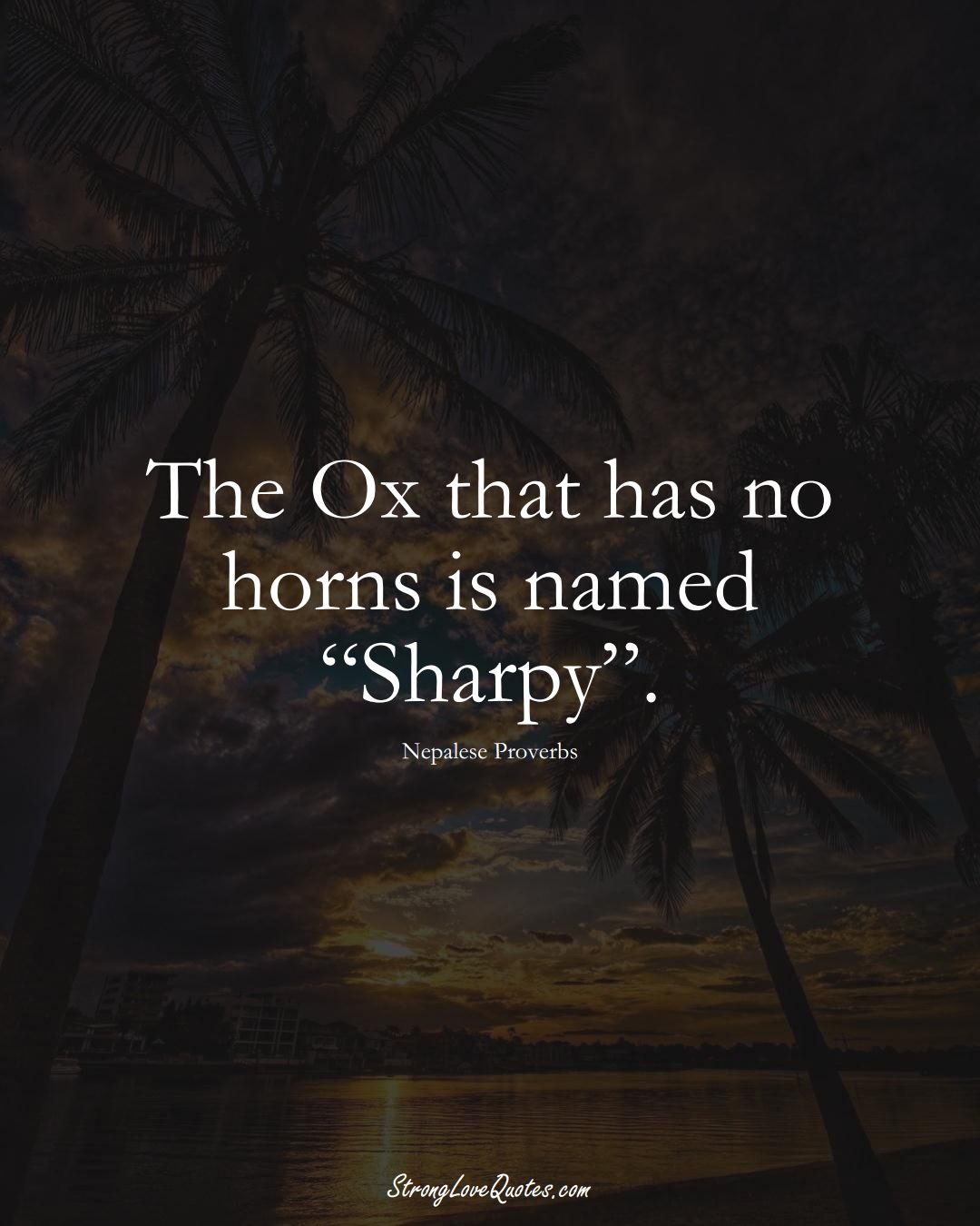 The Ox that has no horns is named “Sharpy”. (Nepalese Sayings);  #AsianSayings