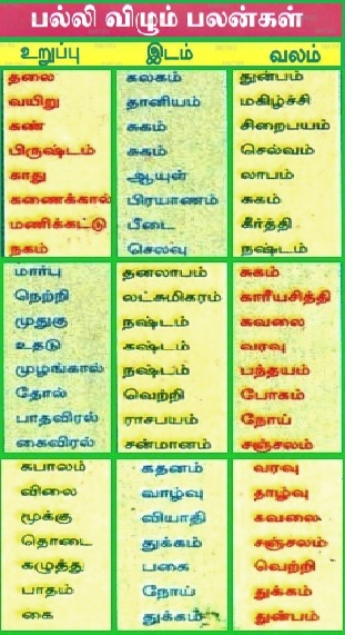 Palli Vizhum Palan palli-vizhum-palan