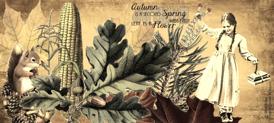 Autumn