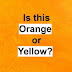 This Beautiful Color Test Will Reveal What Type Of Intelligence You Have