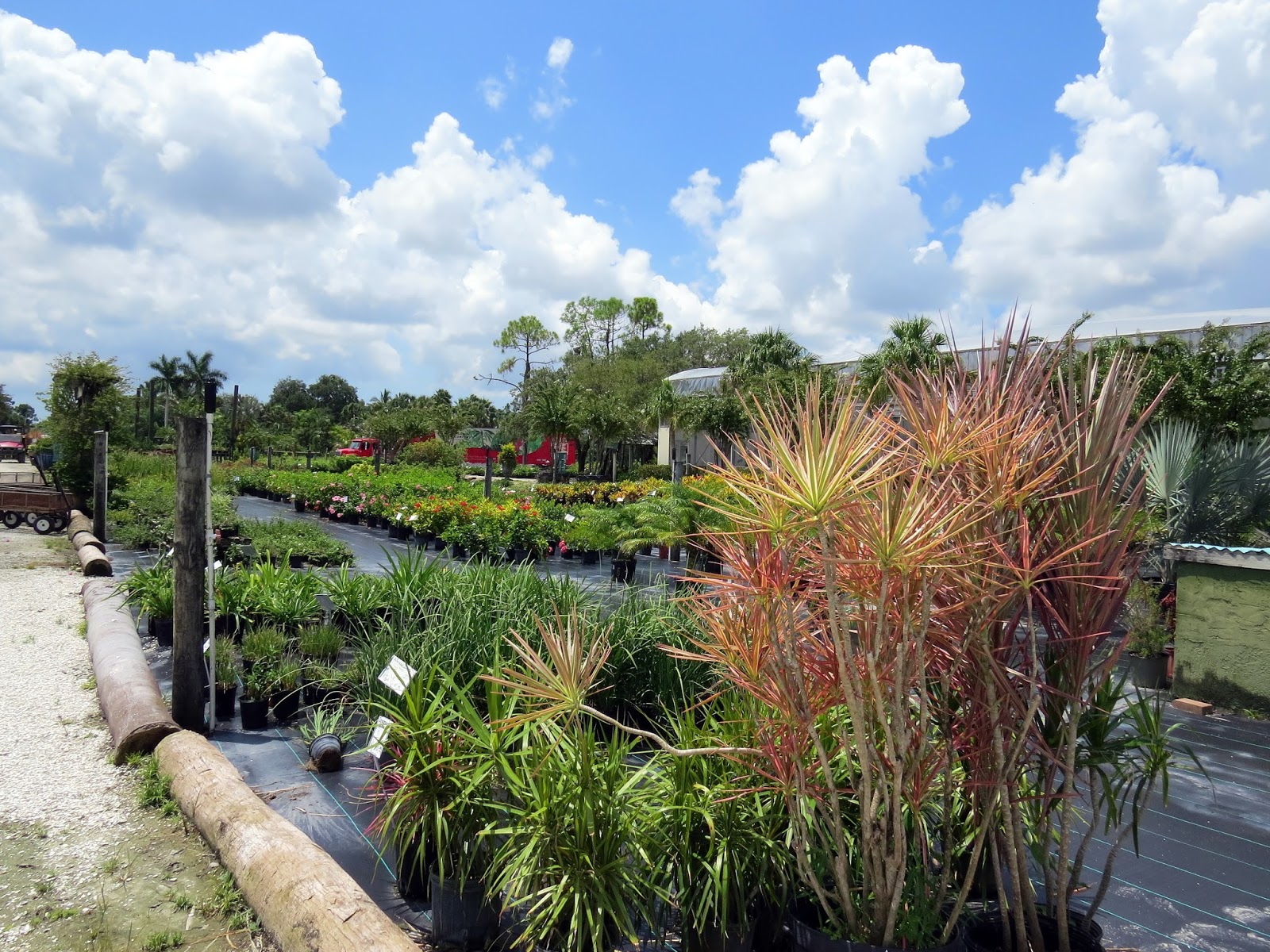 Islandscapes The Future Is Wide Open