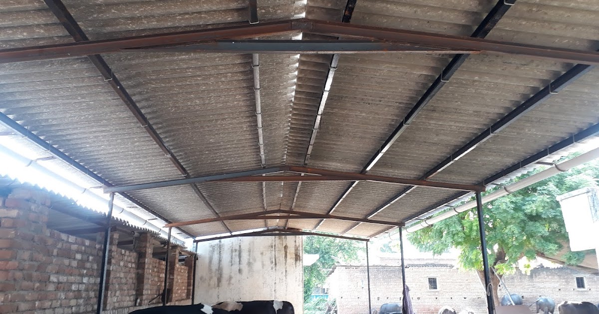 What is a cow shed called image