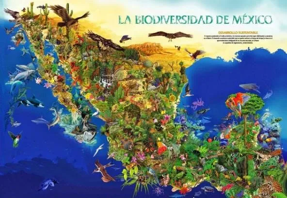 recursos naturales mexico