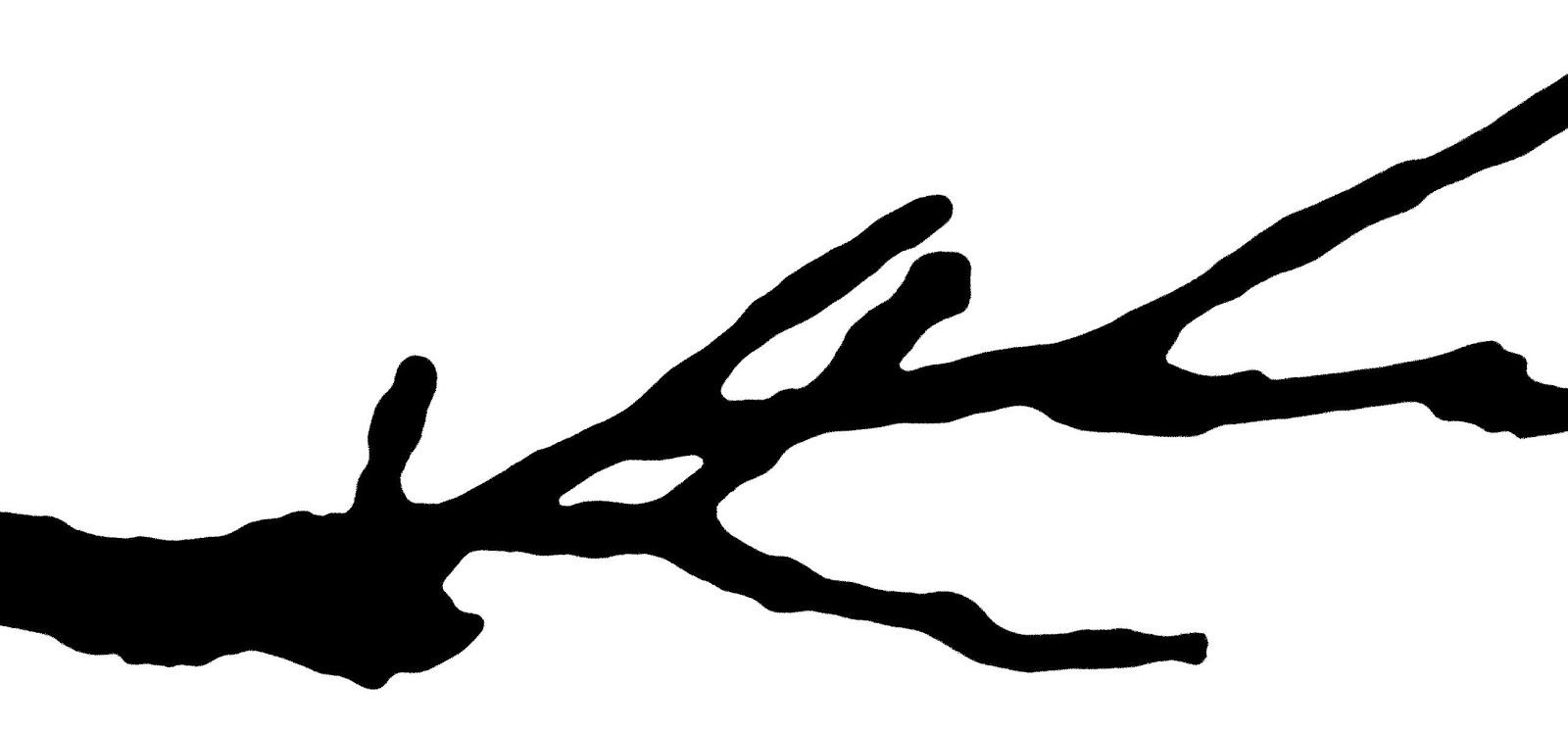 LOOSE AND LEAFY IN HALIFAX TWIG