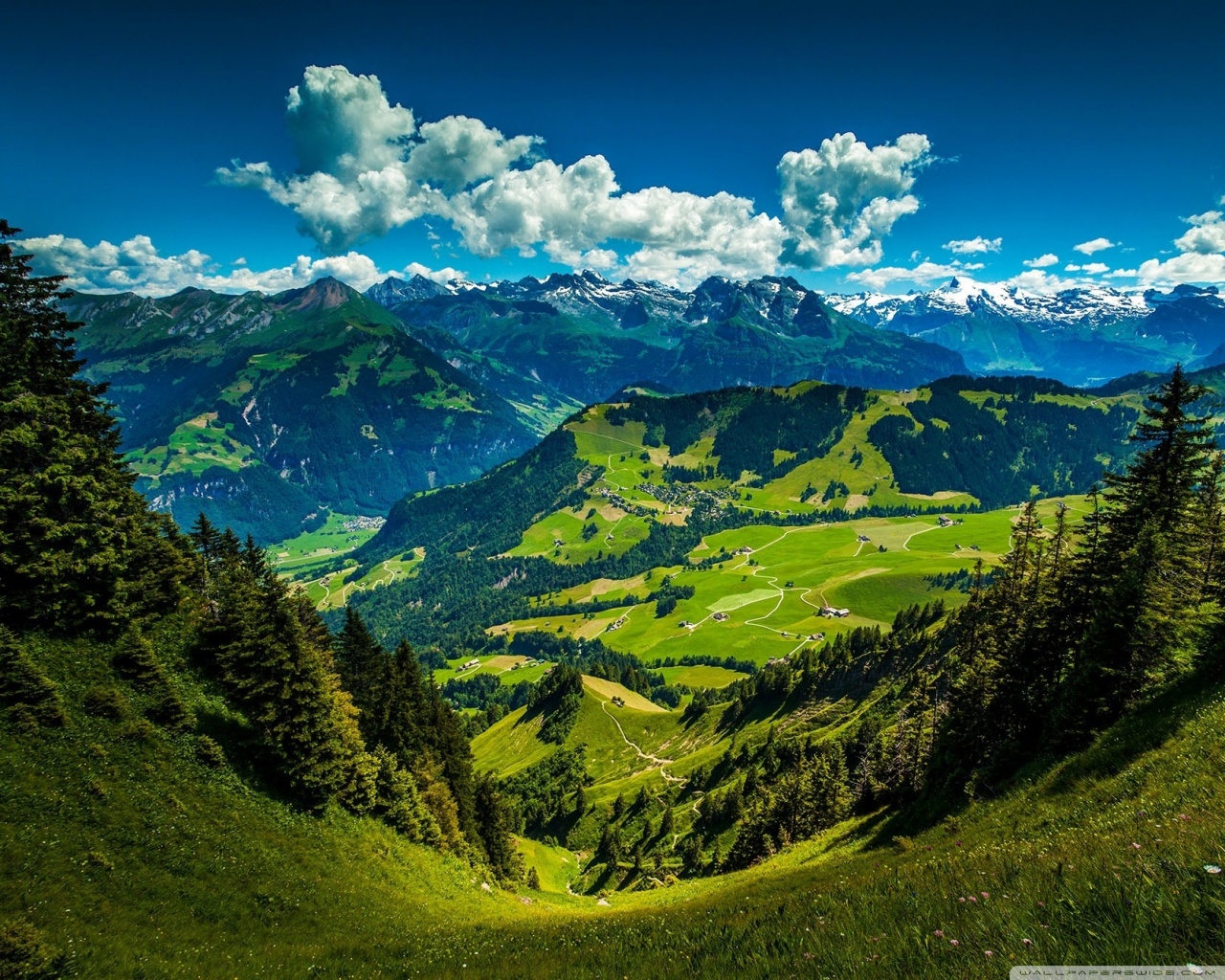 WALPAPER : Download Walpaper Gratis WALPAPER : Download Walpaper Gratis