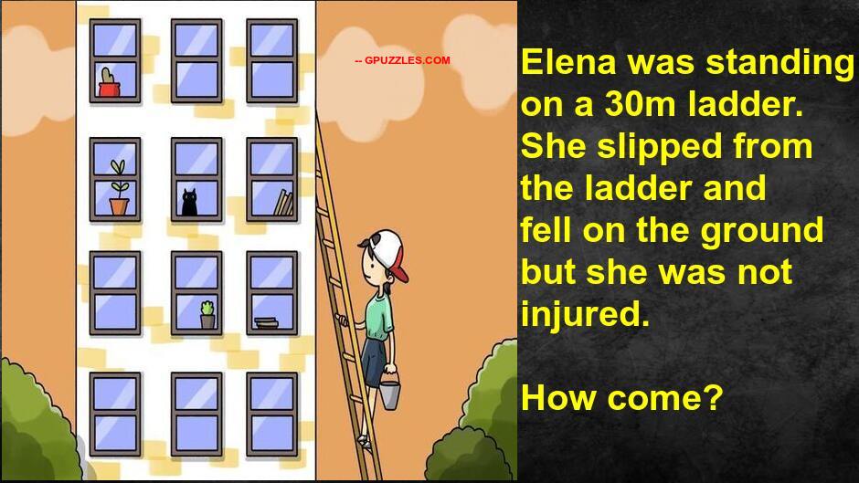 Funny Puzzles And Riddles Genius Puzzles