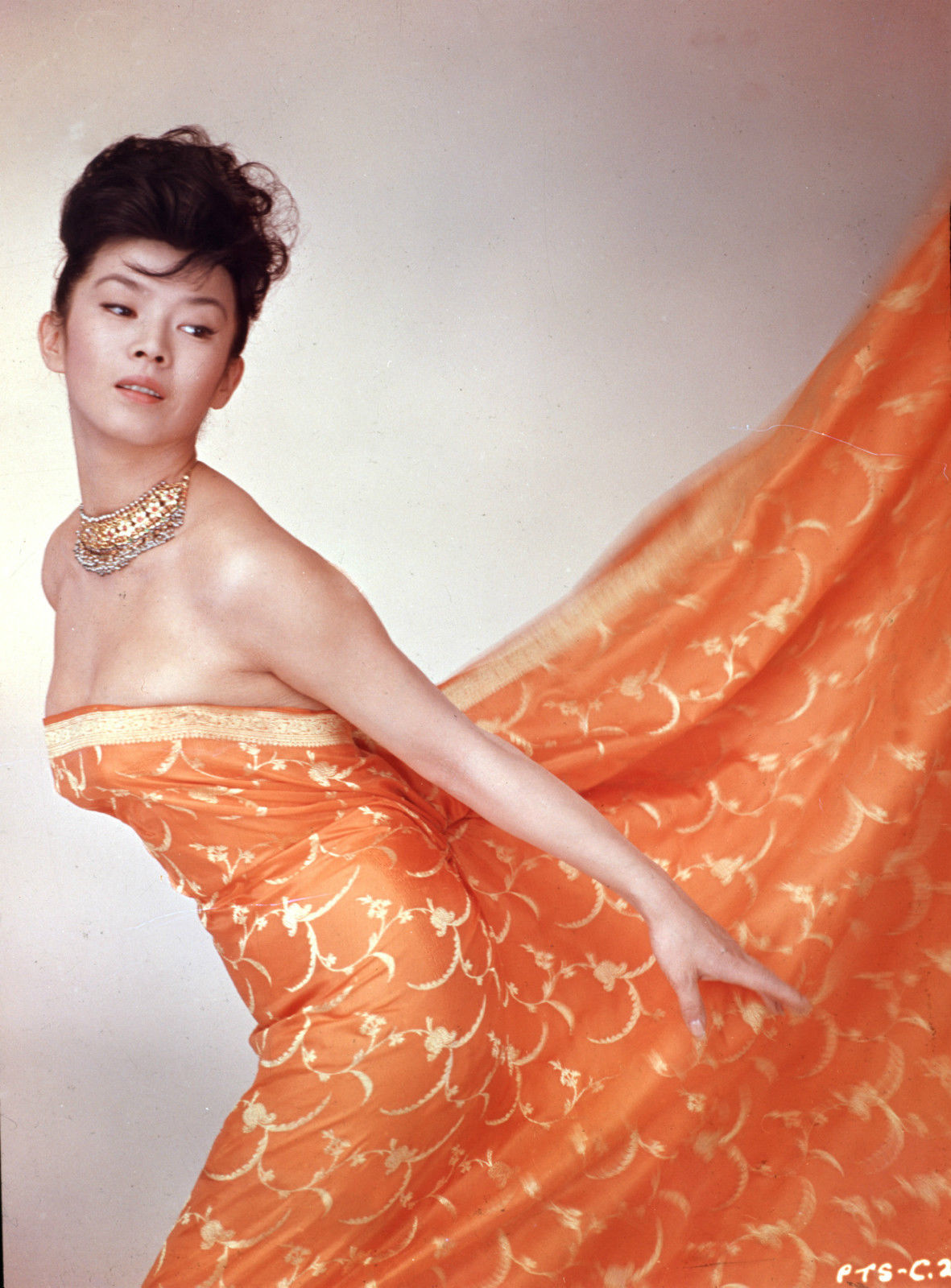 Slice of Cheesecake: Yoko Tani, pictorial