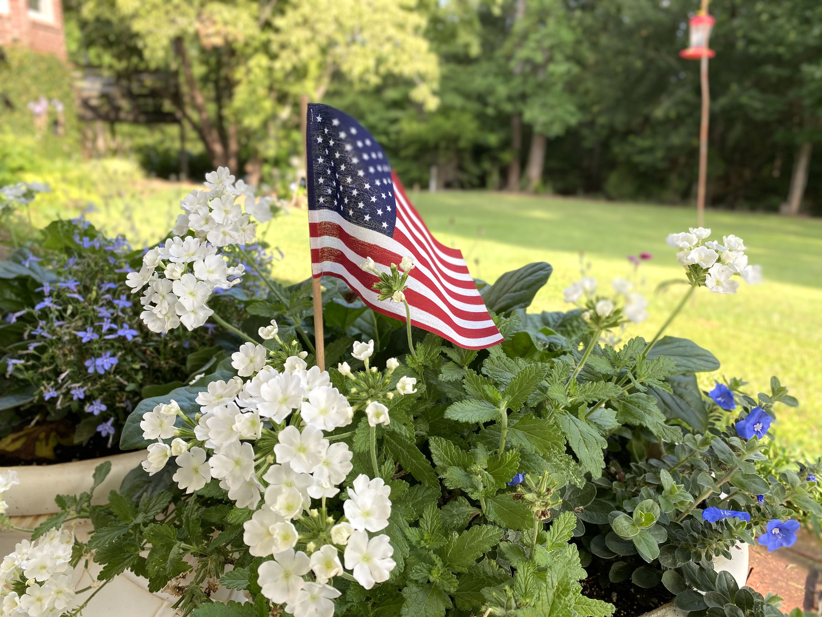 Quilted Blooms In Bloom 14 + Red, White and Blue