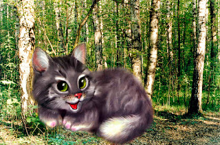 кошка Джелли кошка Джелли