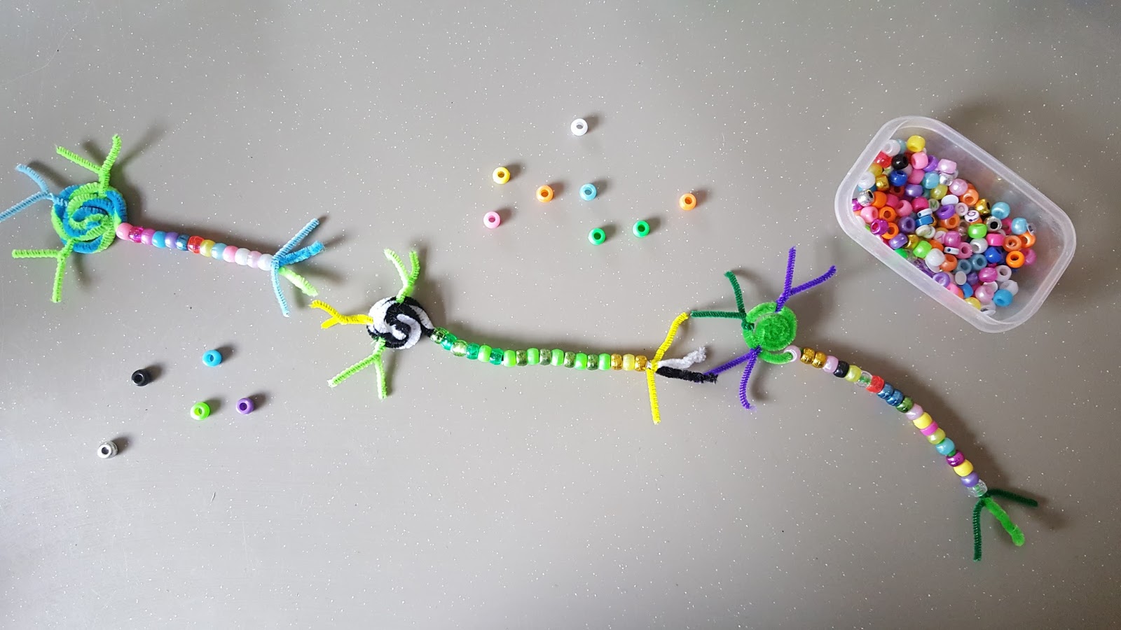 Neuron Project Model