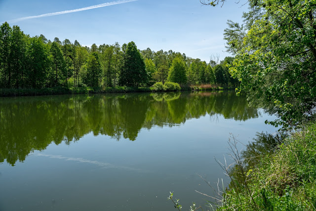 Premiumwanderweg DonAUwald  Etappe 5 von Höchstädt nach Schwenningen 12