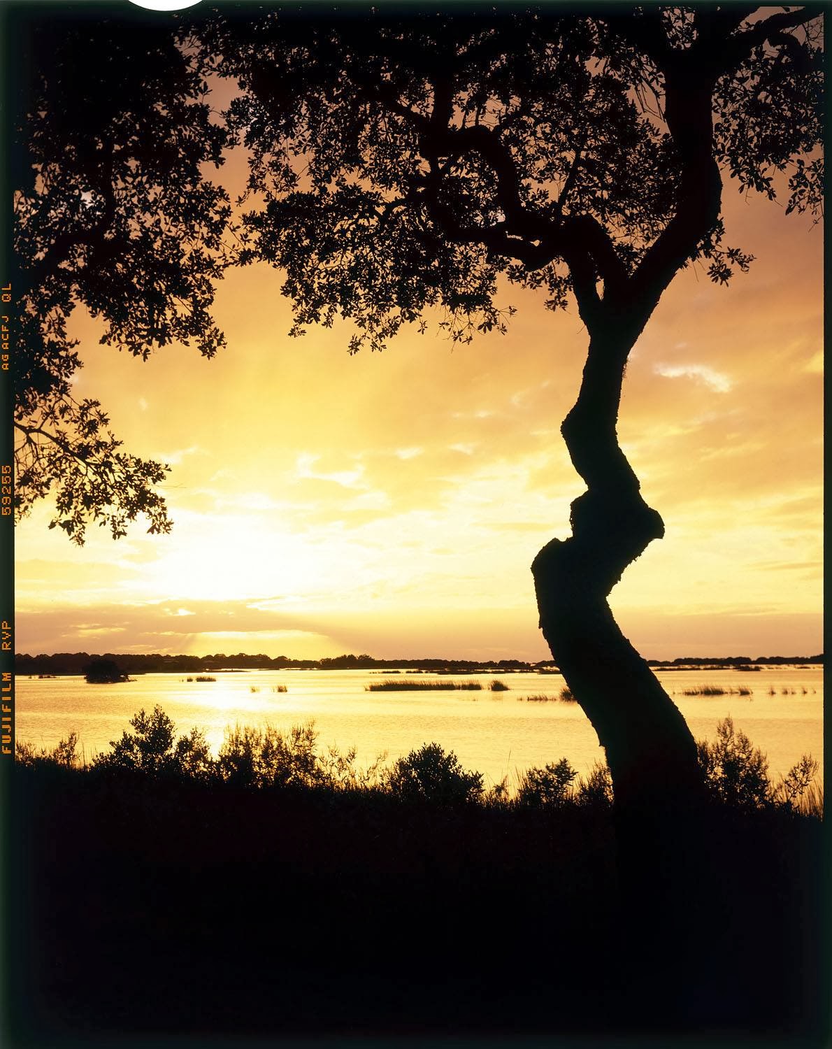 Valdosta in Film Cedar Key, Florida Vacation Nov. 2013