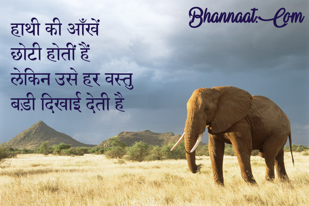 Facts About Elephants In Hindi