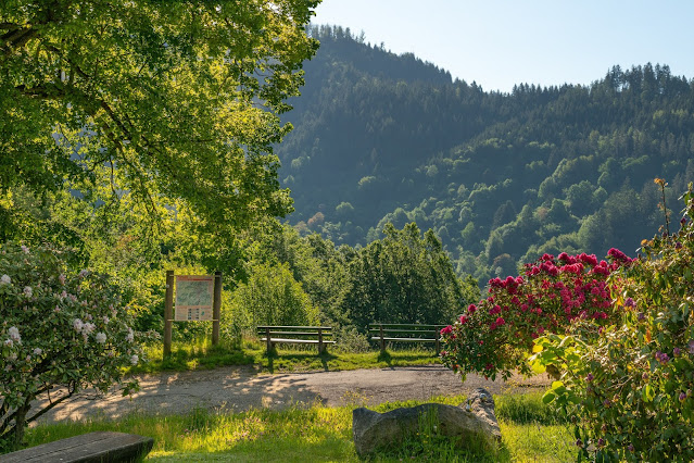 Premiumwanderweg Murgleiter | Etappe 3 von Forbach nach Schönmünzach | Wandern nördlicher Schwarzwald 02