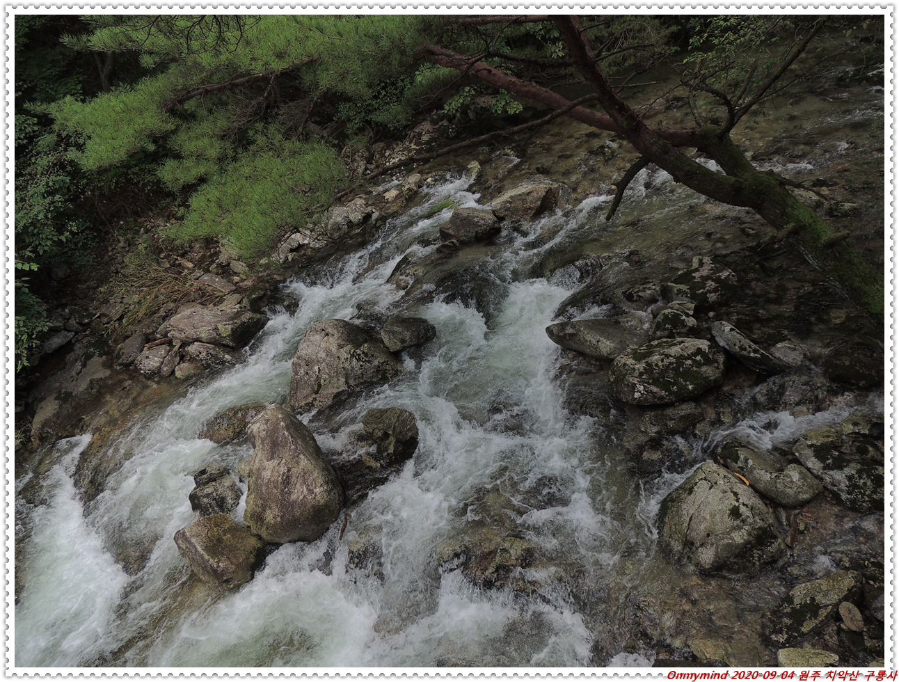 원주 구룡사 원주 구룡사