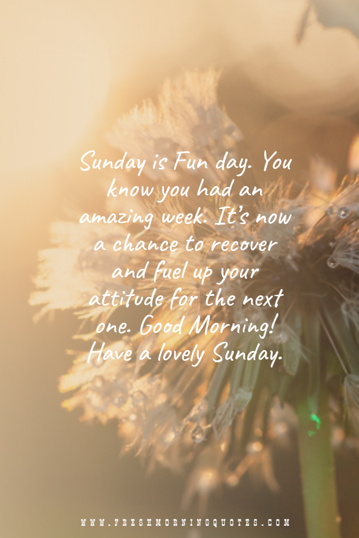 40+ Beautiful Good Morning Sunday Messages - Freshmorningquotes