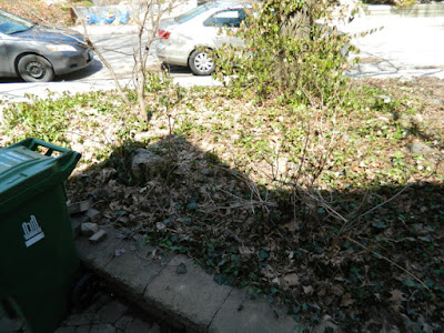 Riverdale Toronto Spring Cleanup Front Raised Bed Before by Paul Jung Gardening Services--a Toronto Organic Gardening Company Riverdale Toronto Spring Cleanup Front Raised Bed Before by Paul Jung Gardening Services--a Toronto Organic Gardening Company
