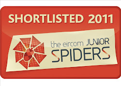 Eircom Junior Spider Award 2011