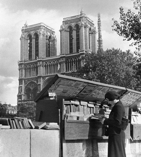 Cajón de traducción Urban Dictionary en francés