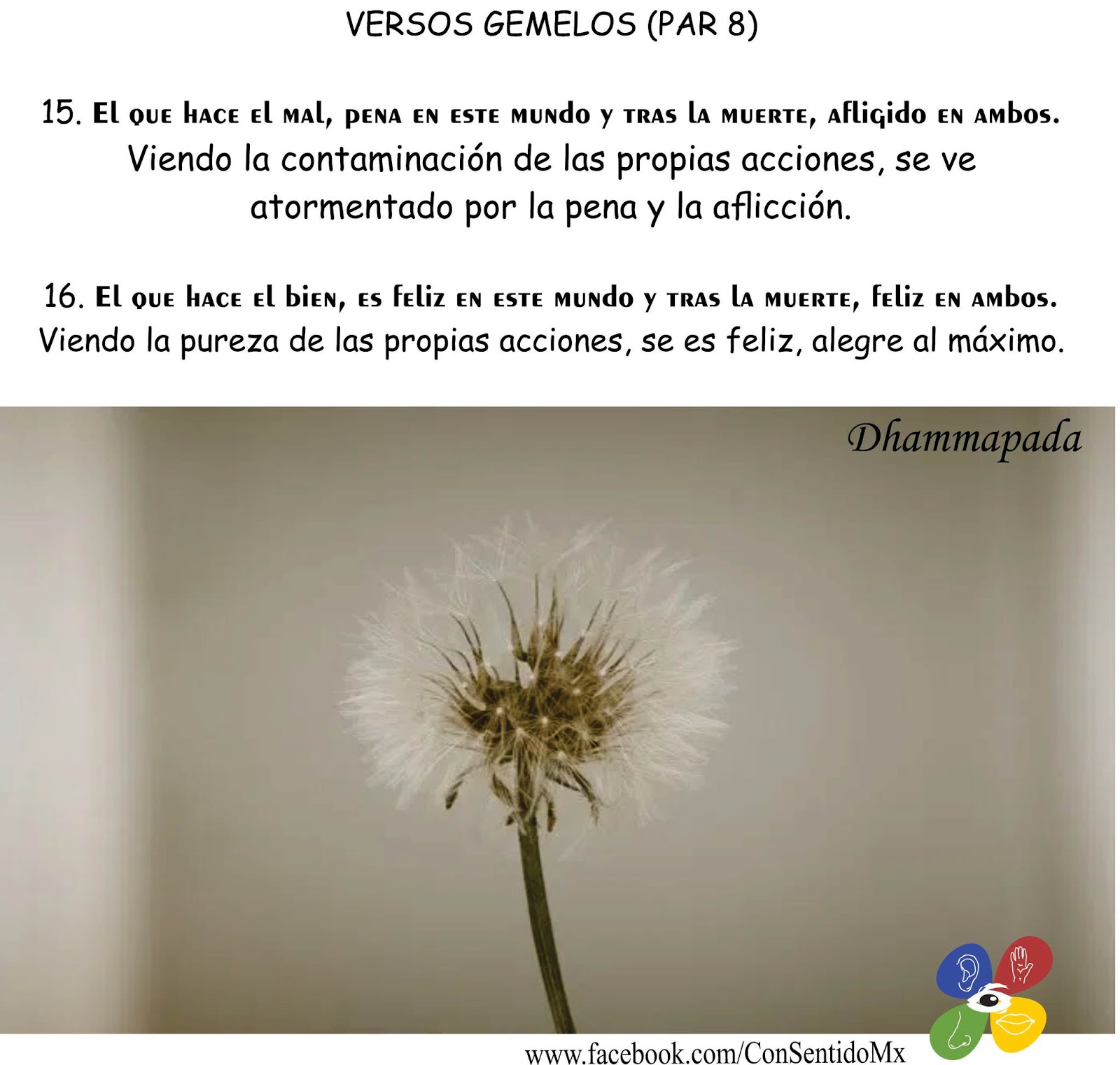 conSentido VERSOS GEMELOS (PAR 8)