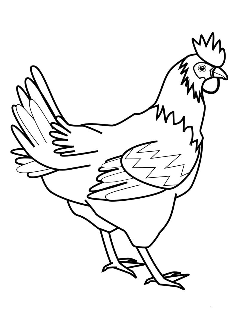 9900 Gambar Binatang Ayam Untuk Diwarnai Terbaik