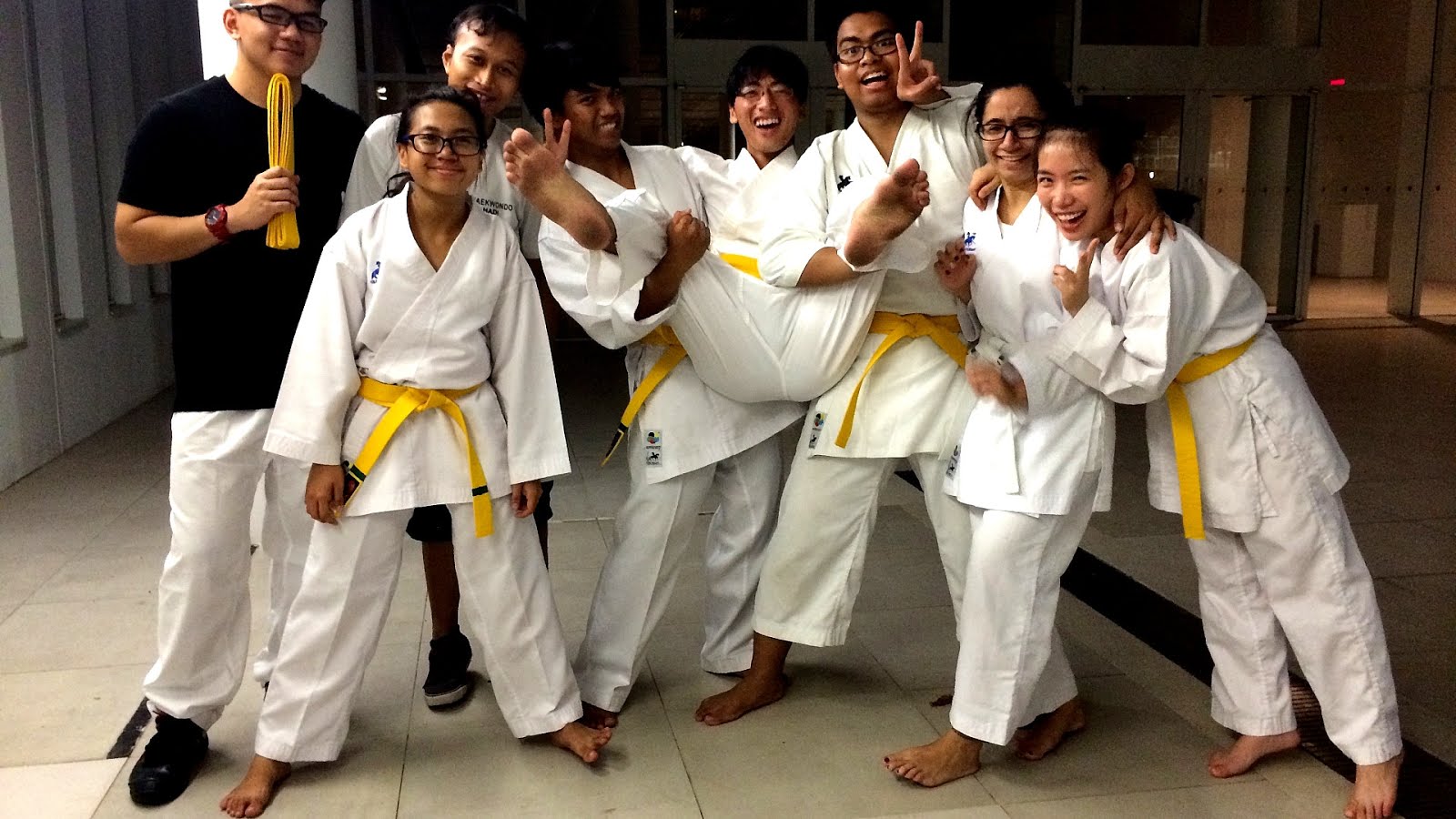 Goju Ryu Karate Belts Karate Choices