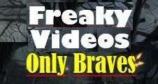 https://freaky-videos.blogspot.com/