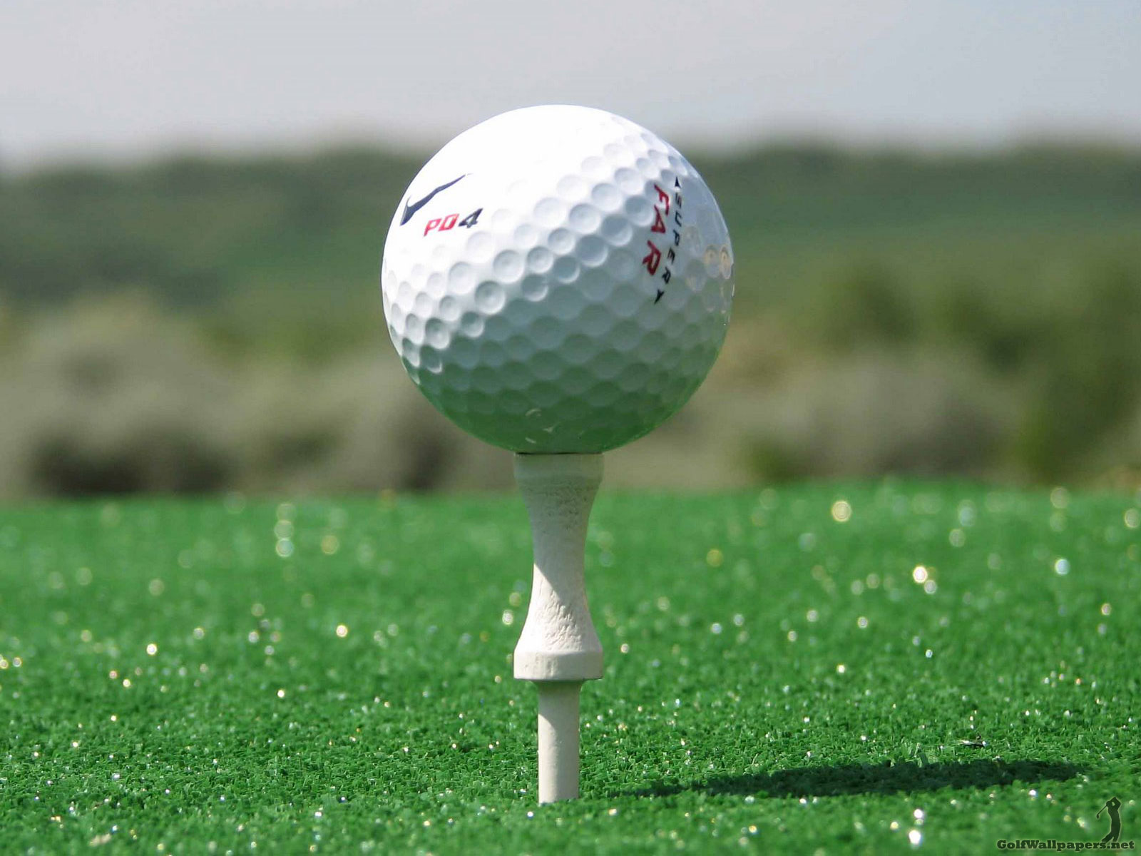 http://1.bp.blogspot.com/-rZXsrJajLrM/TjI0n4ZFwcI/AAAAAAAAFNI/hffZDeRJGTA/s1600/golfball.jpg