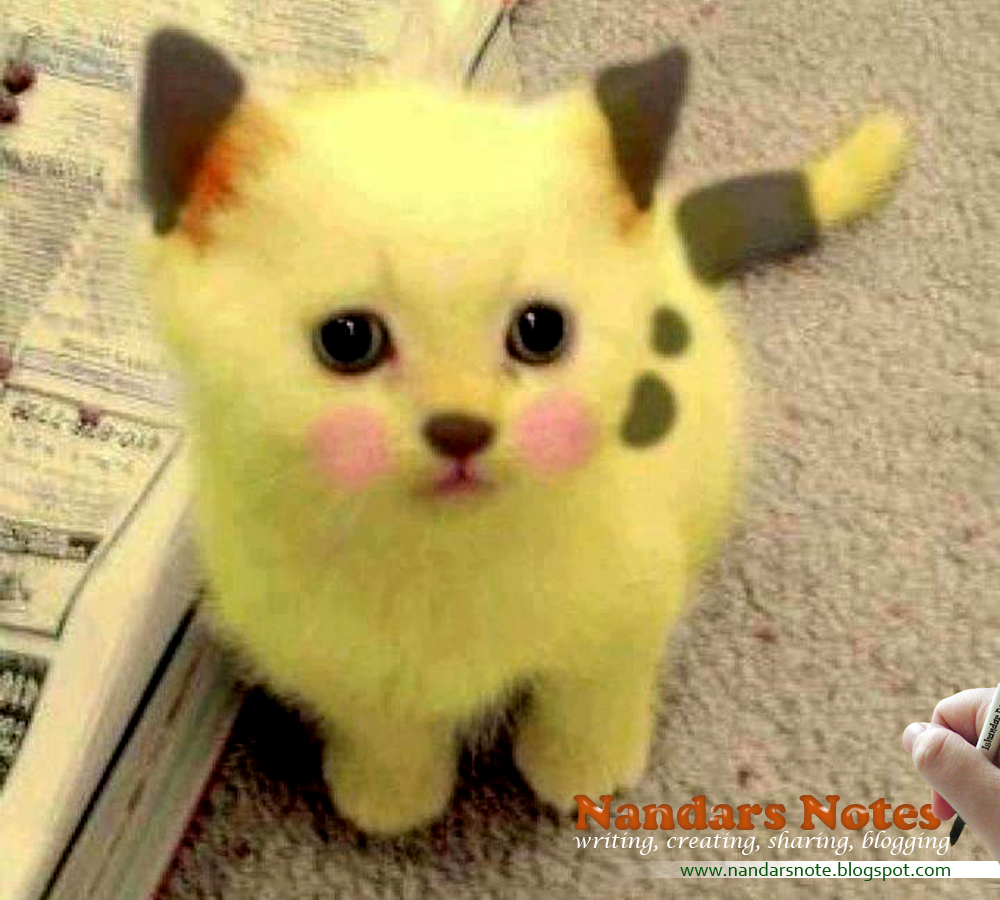 Notes Of Nandar Kucing Lucu dan Unik Notes Of Nandar Kucing Lucu dan Unik