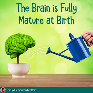 Brain myths: Fact or Fiction? Science has learned a lot about the brain, how many of these do you think are true?