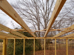 coop chicken evolution bridging stiffens roof