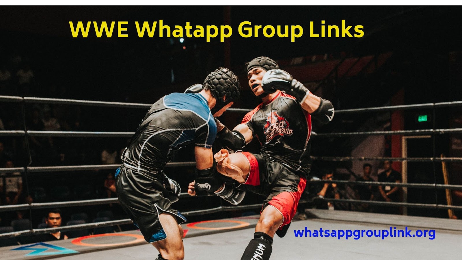 Whatsapp Group Link Whatsapp Group Links