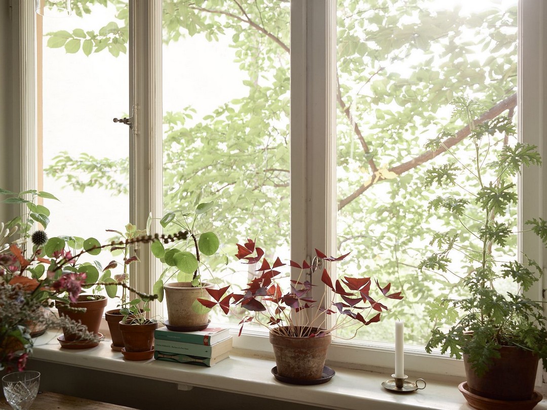 DÉCO NATURE ET EN COULEUR