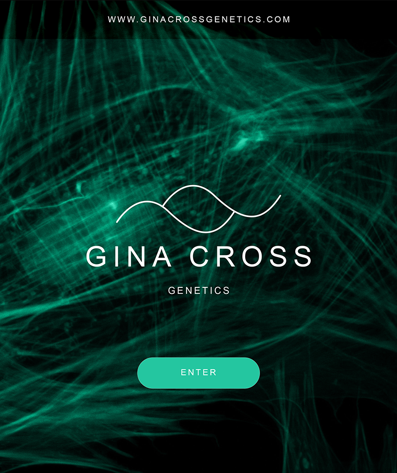 gina cross logo web projects
