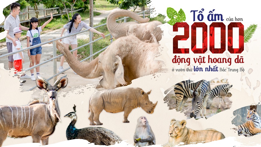 khu-vuon-thu-safari-zoo-thanh-ha-cienco5 khu-vuon-thu-safari-zoo-thanh-ha-cienco5