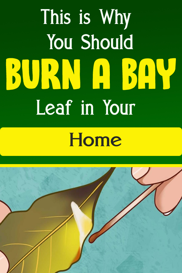 This is Why You Should Burn a Bay Leaf in Your Home
