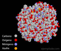 macro molecula