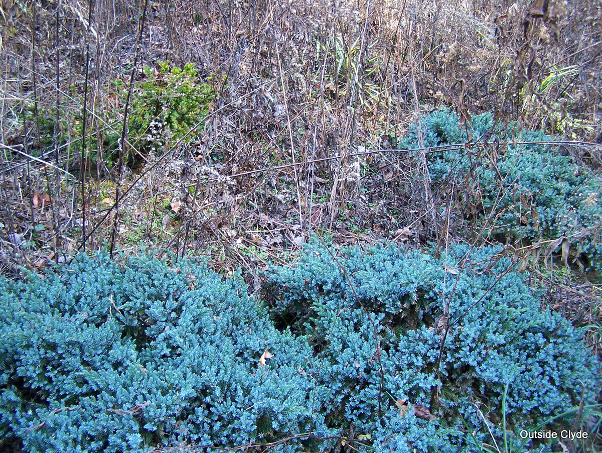 Outside Clyde: A Visit Down To The Under Garden