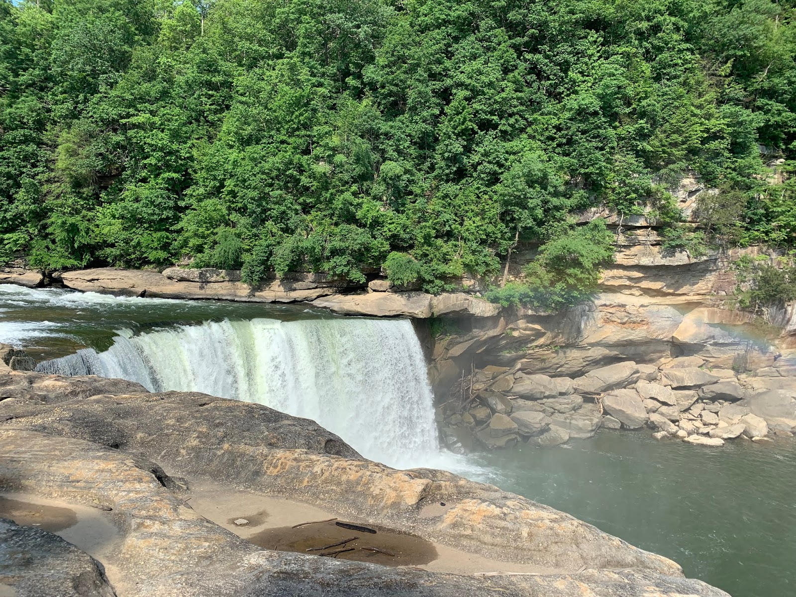 Lee County Hiking Club