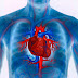 Heart Facts with Ayurveda