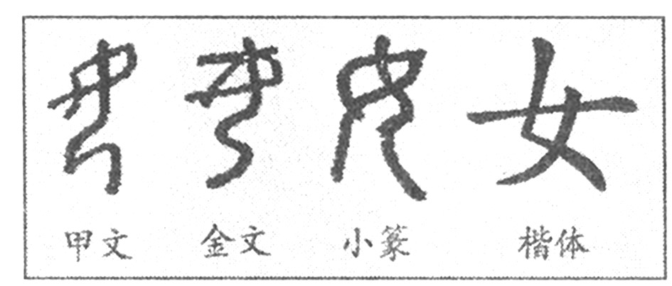 漢字の起源と成り立ち 甲骨文字の秘密 漢字 女 の起源と成立ち 当時の社会の変化が漢字にしっかりと刻まれていた