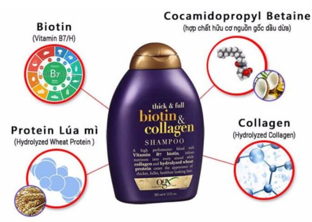 thanh phan biotin collagen