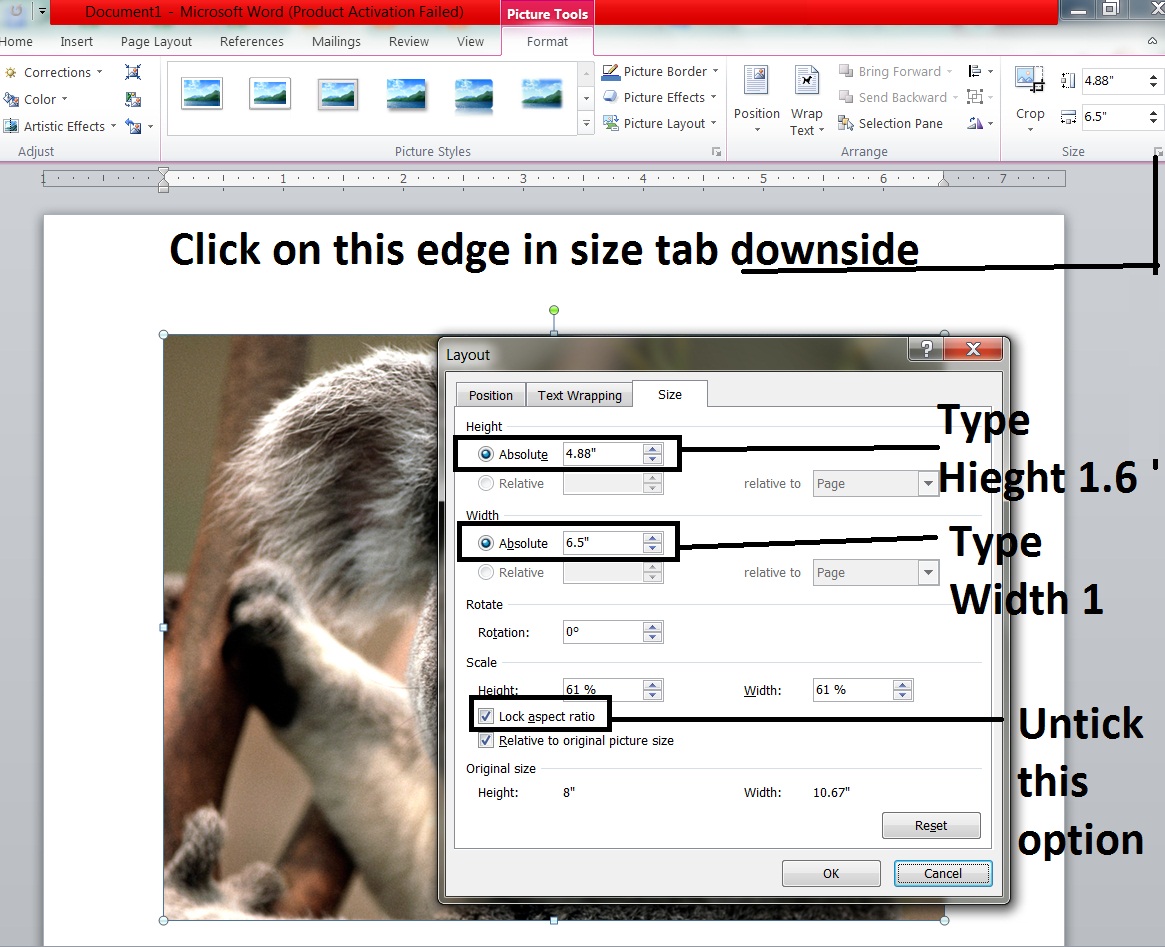 Make Passport Size Photos In Microsoft Word