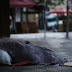 Frio causa mortes de três moradores de rua em São Paulo