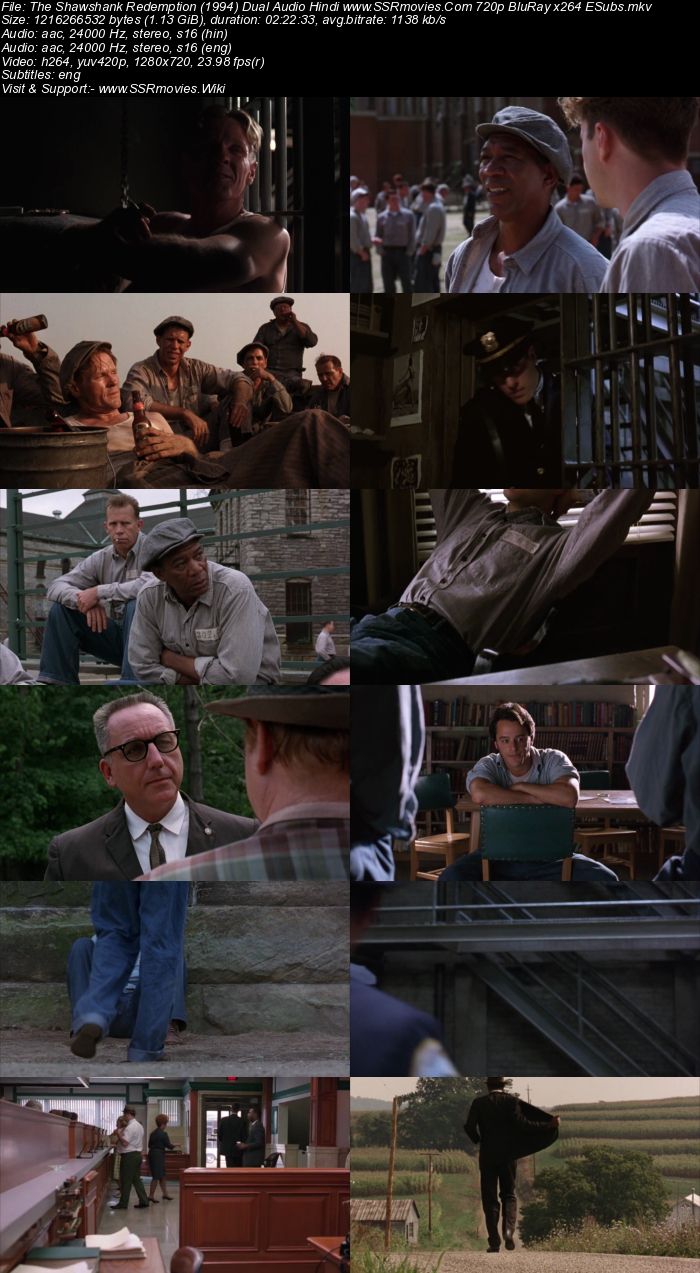The Shawshank Redemption (1994) Dual Audio Hindi 480p BluRay 450MB ESubs Movie Download